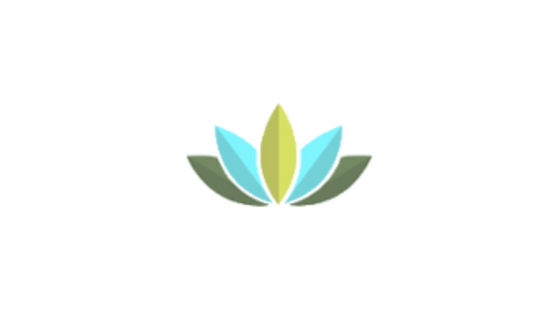 Timmins Care A stylized lotus flower logo featuring five overlapping leaves: two in green, two in light blue, and a central one in yellow. The background is white. Cochrane District Social Services Administration Board