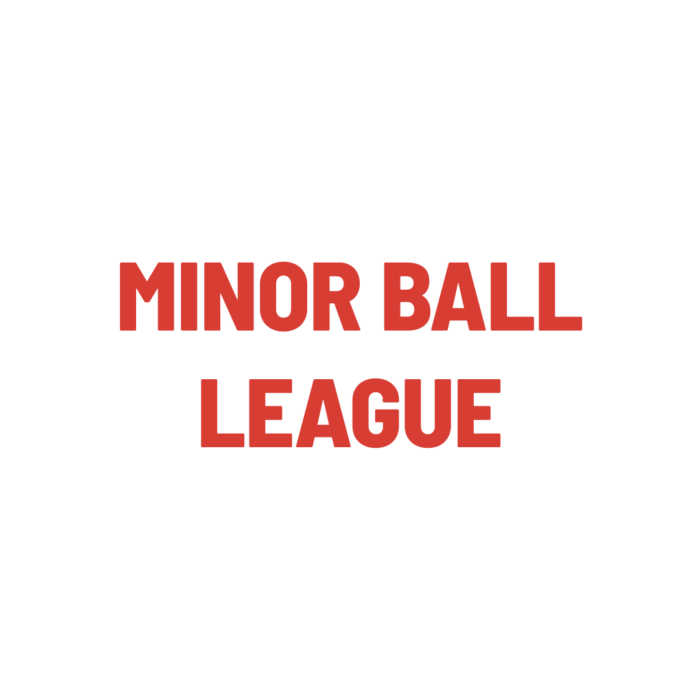 Timmins Care Red text reading "MINOR BALL LEAGUE" on a white background. Cochrane District Social Services Administration Board