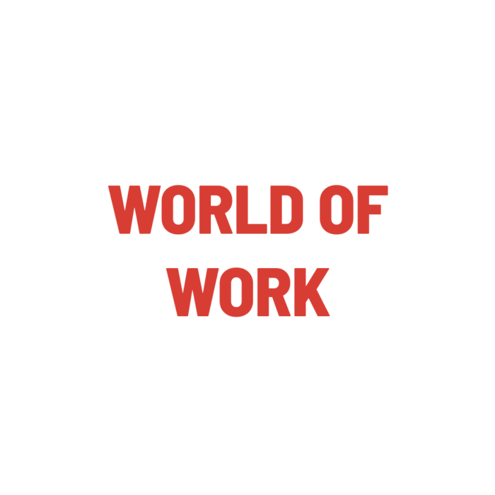 Timmins Care Text reading "WORLD OF WORK" in red, bold capital letters on a white background. Cochrane District Social Services Administration Board